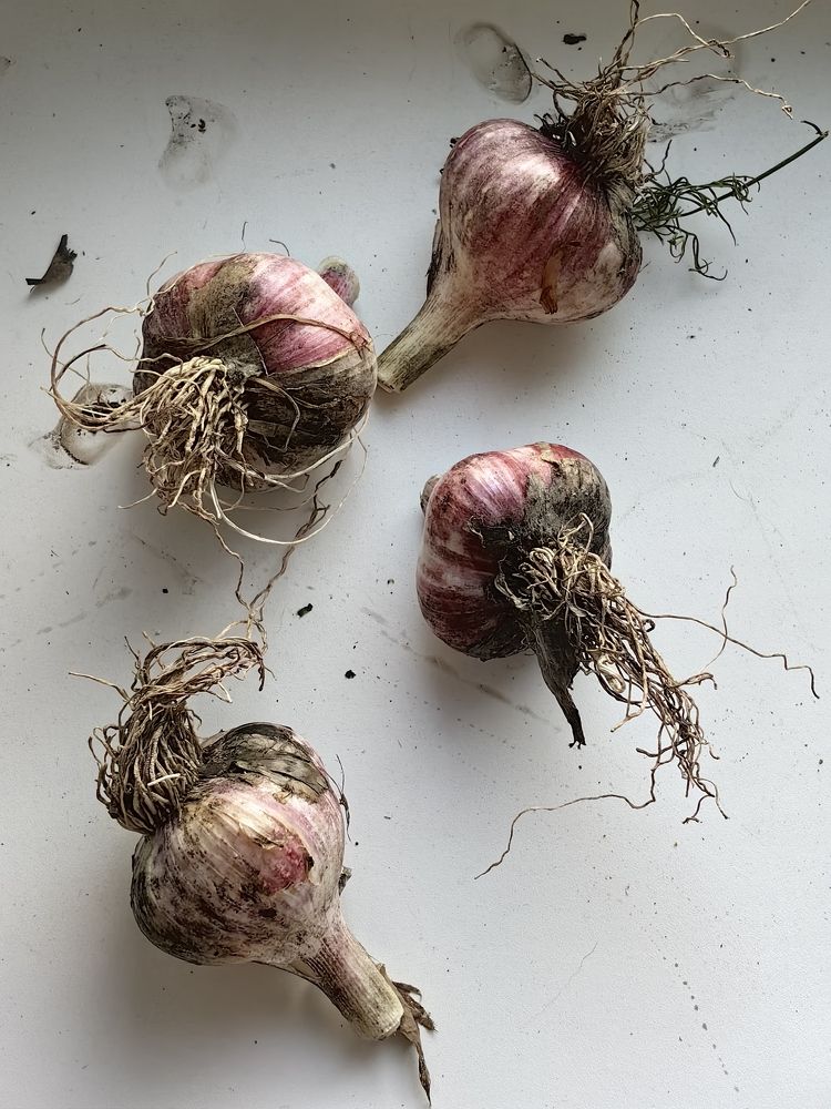 Photograph by Анастасия Иванова