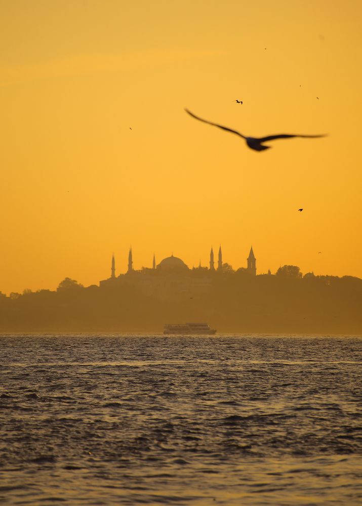 Photograph by Елена Тульчинская