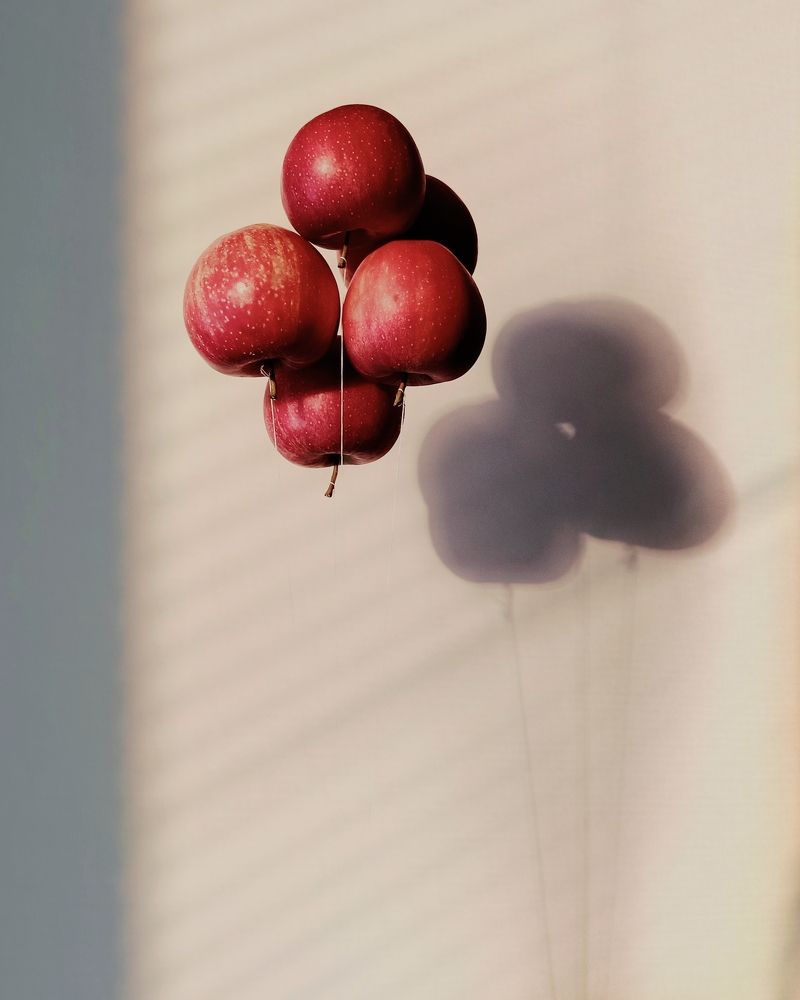 Фотография автора Татьяна Шахова