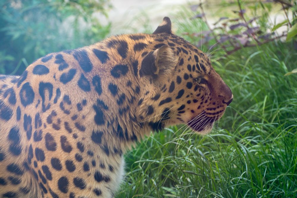 Фотография автора Ольга Круковская