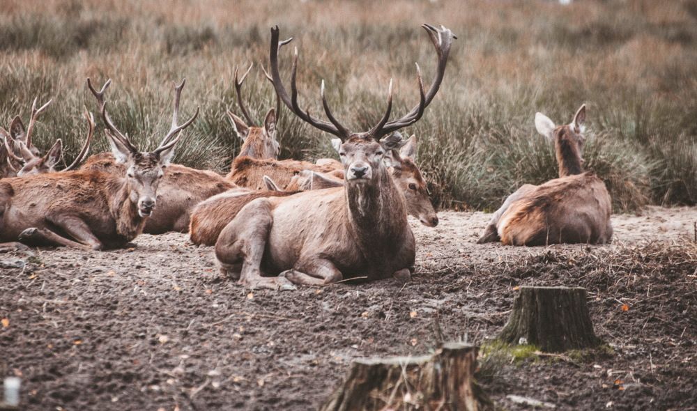 Фотография автора Ольга Круковская