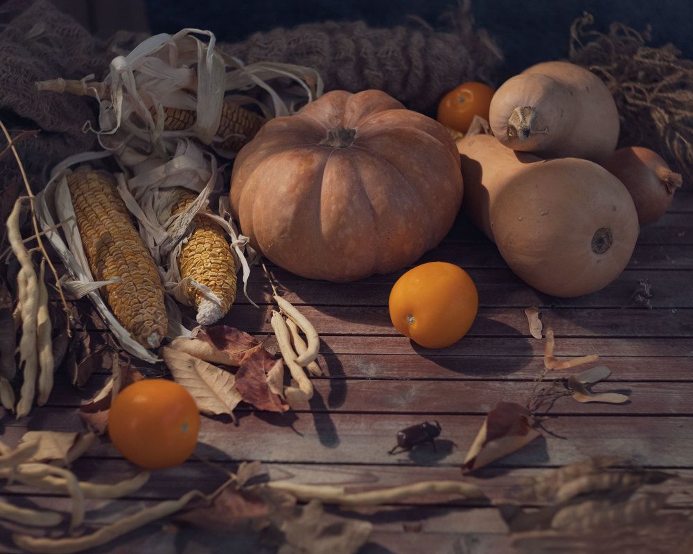 Photograph by  Анастасия Тимарг