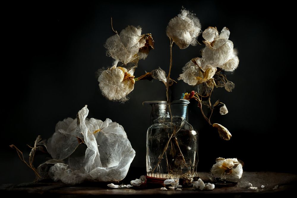 Фотография автора Вострецов Иван