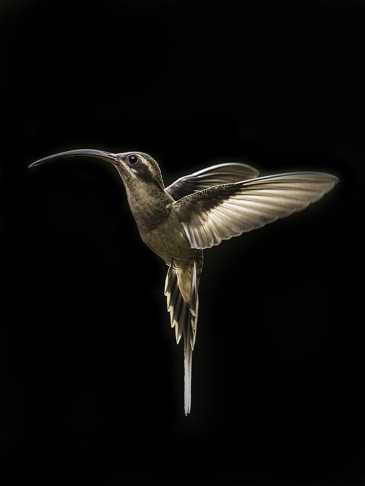 The resurrection...!!!