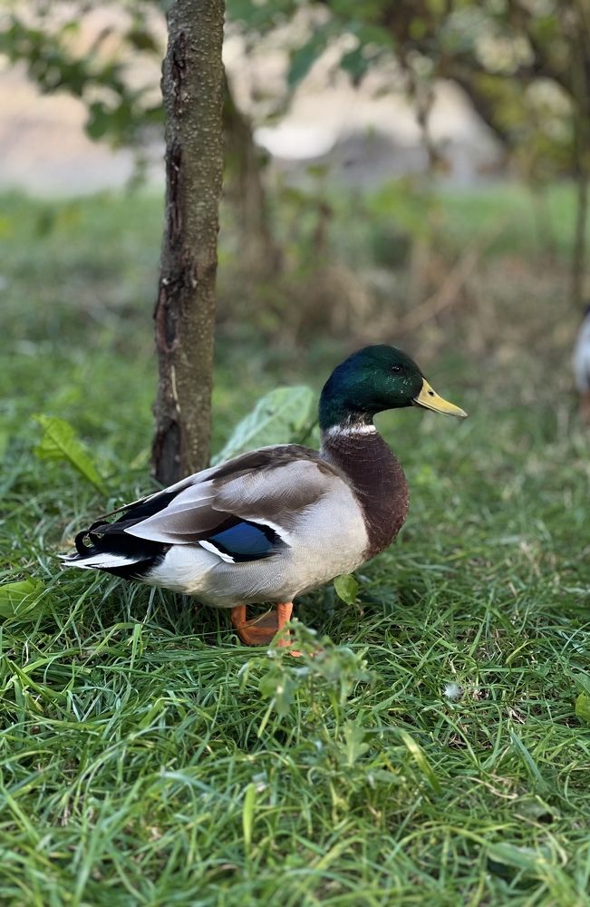 Photograph by Елена Громова