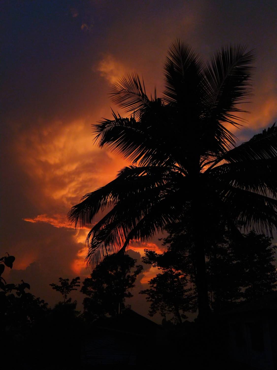 Photo #9843271