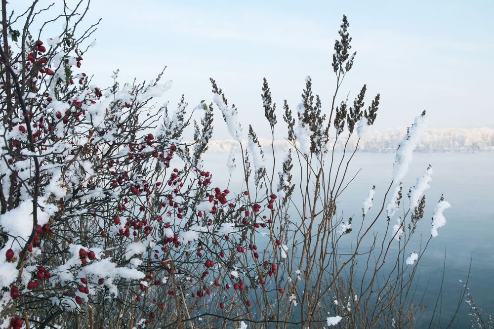 Photograph by Светлана Козлова