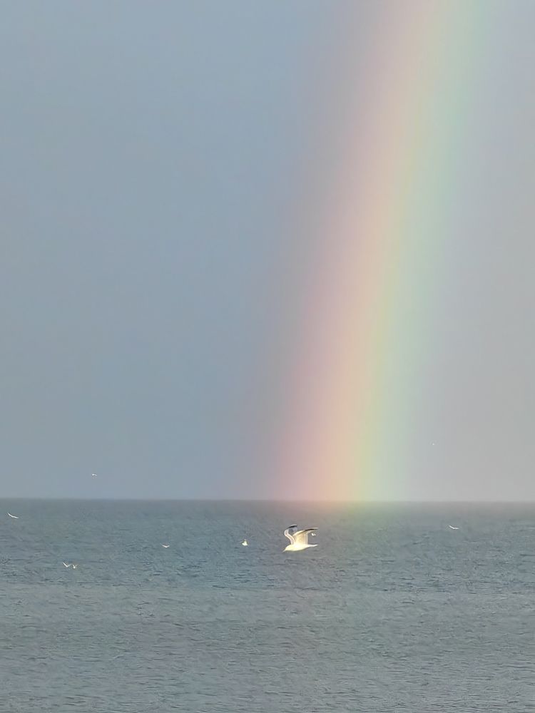 Photograph by Александр Девочкин