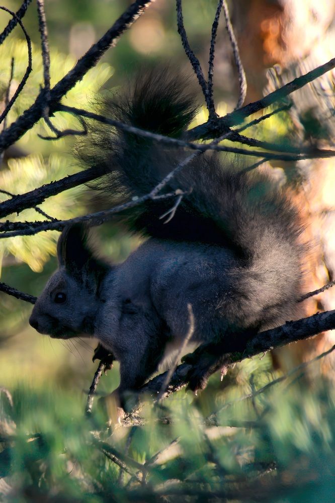 Photograph by Виктория Лобанова