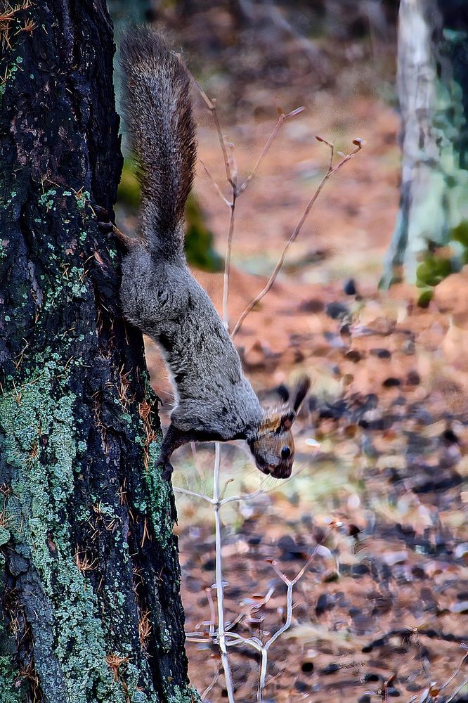 Photograph by Виктория Лобанова