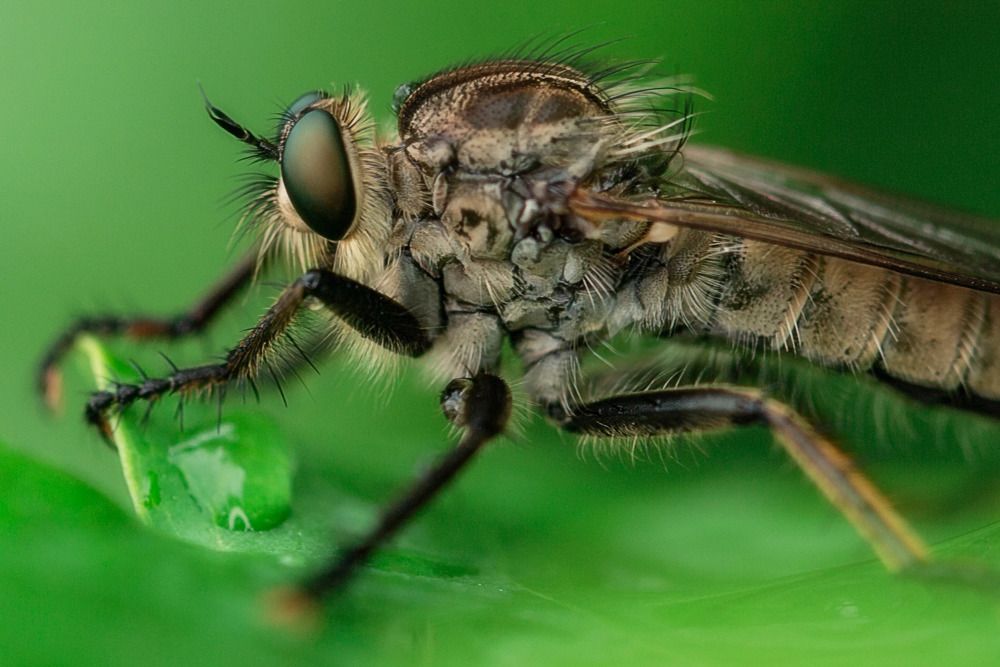 Photograph by Leanid Kulpo