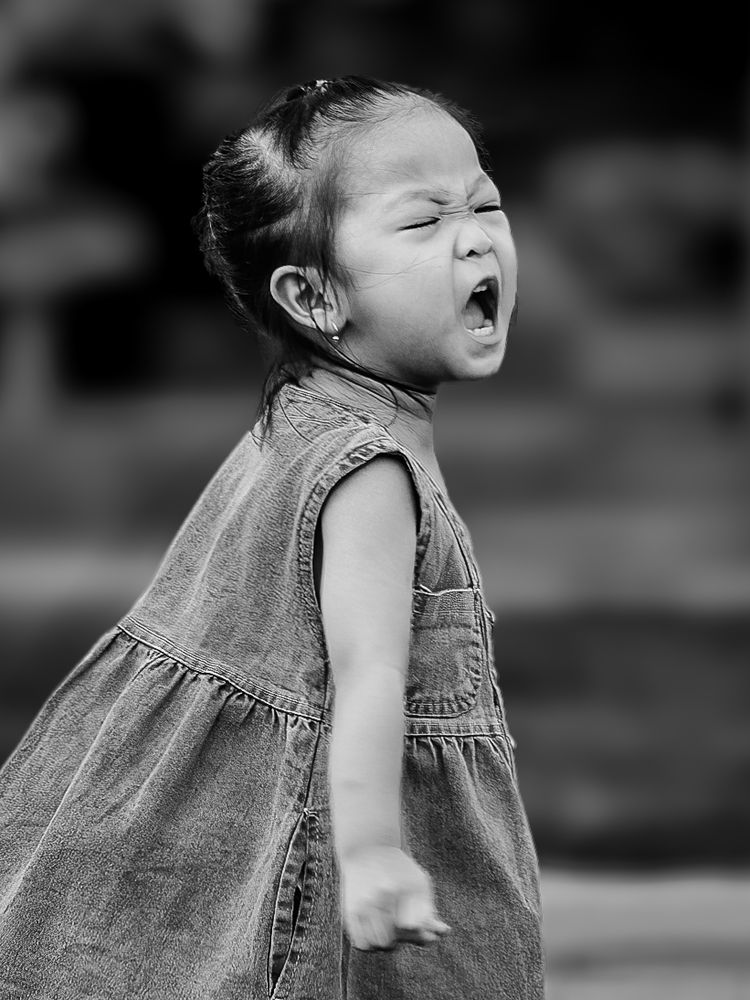 Фотография автора Pham Anh Vu