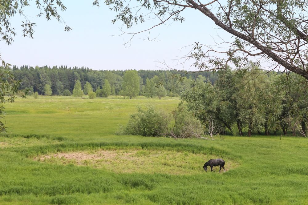 Деревня Винокурова, Тобольск
