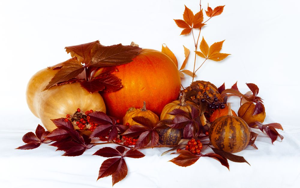 Photograph by Plamen Nikolov