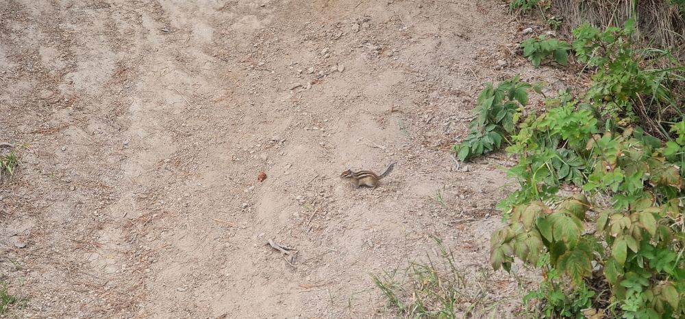 Photograph by Natasha Kim