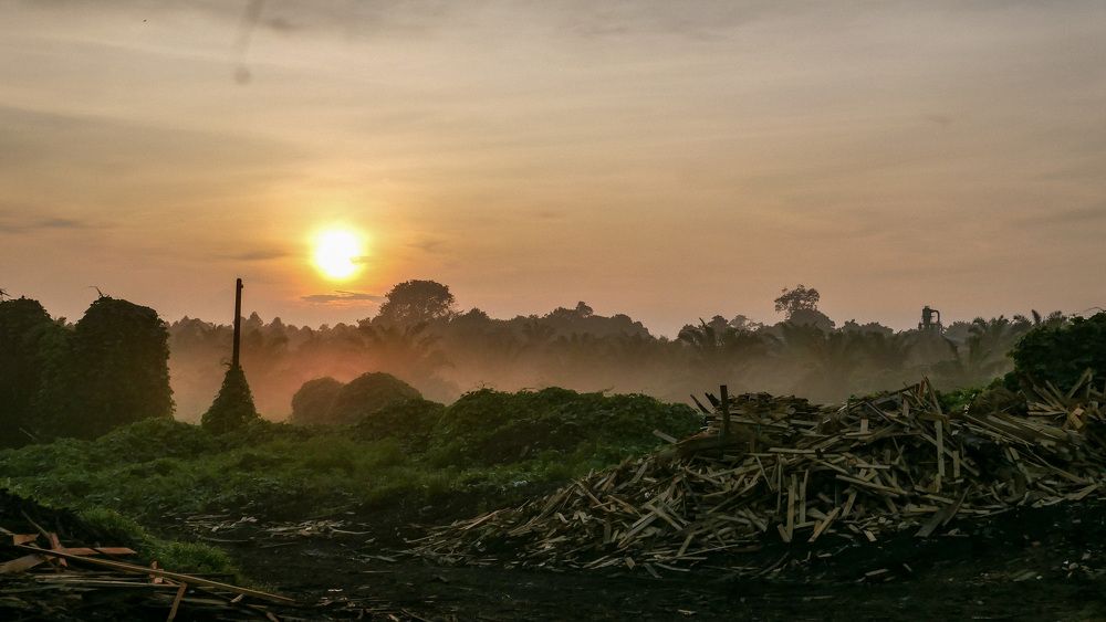 Photograph by EVELYN SIEW YEN CHAN