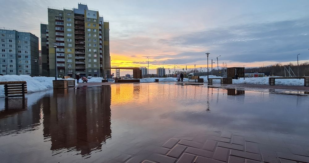 Photograph by Natasha Kim