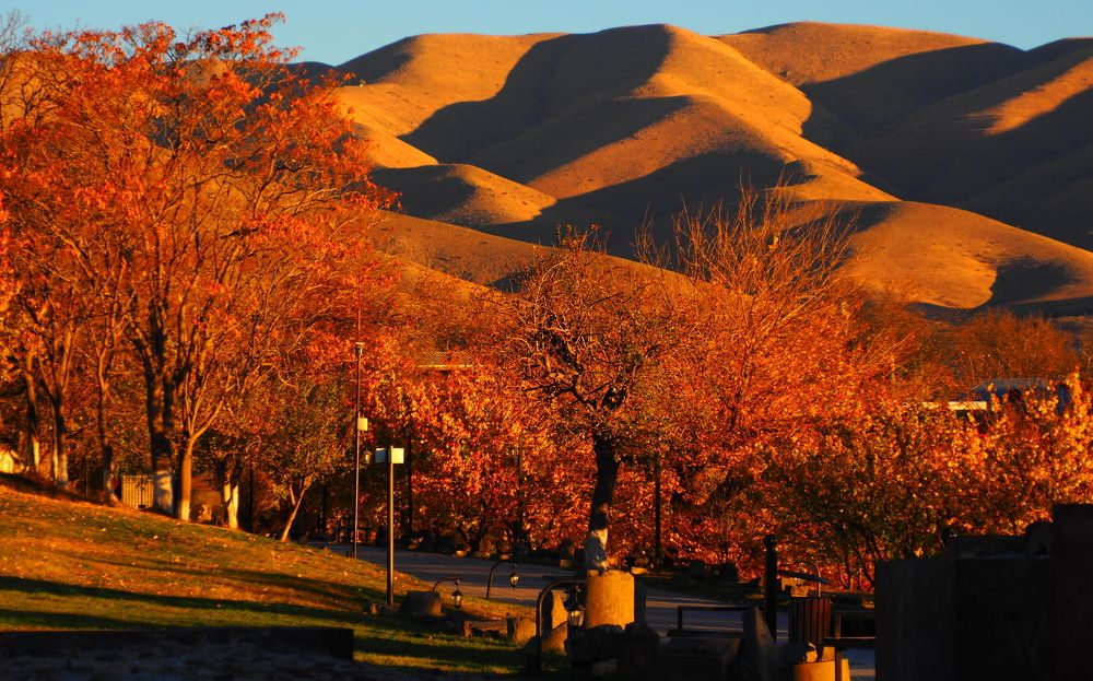 Photograph by ANDREY PERESHEIN