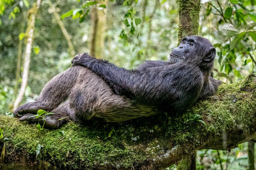 Photograph by Kelvin Blake