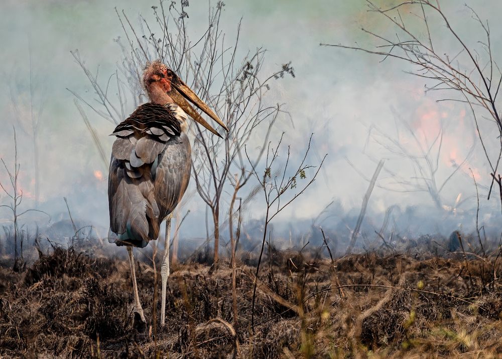 Photograph by Kelvin Blake