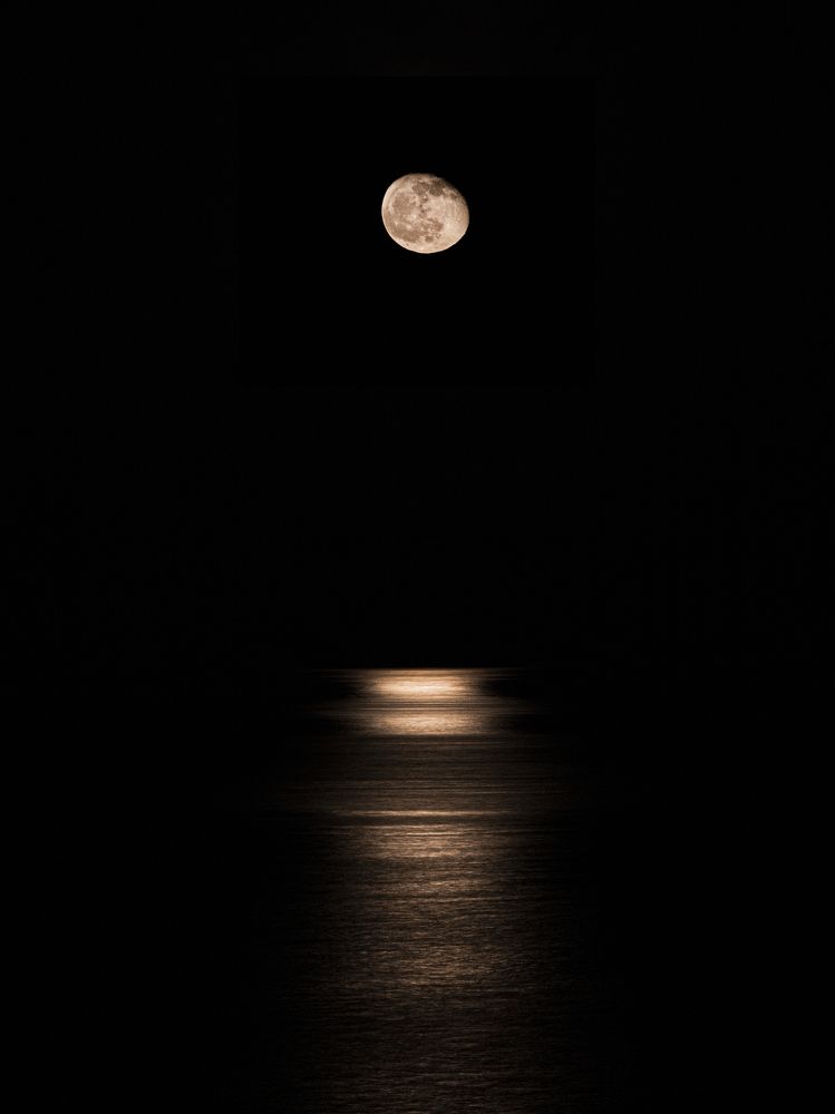 Photograph by Игорь Толкачев