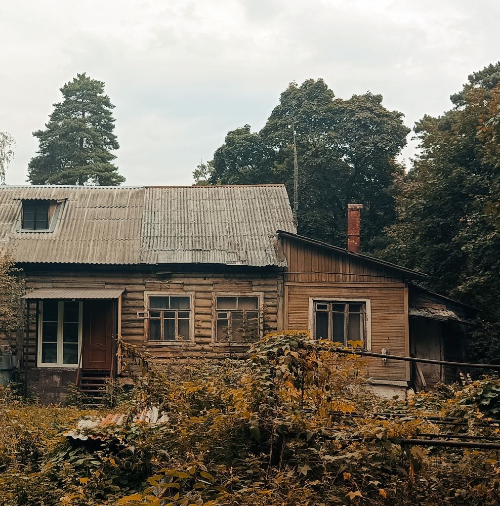 Photograph by Nata Gera