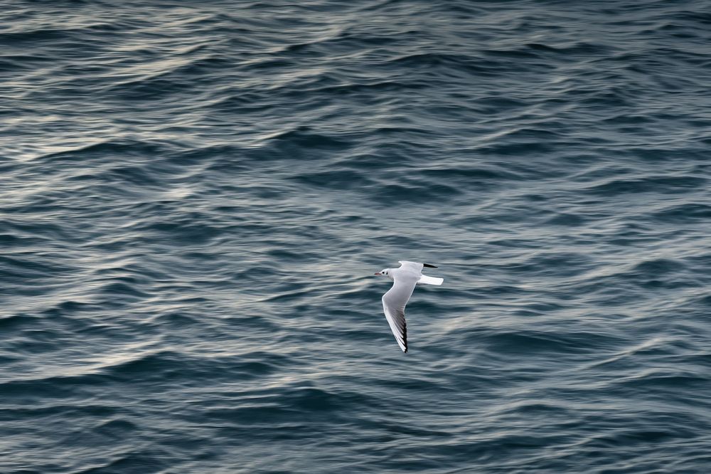 Photograph by Tsimafei Osipchyk
