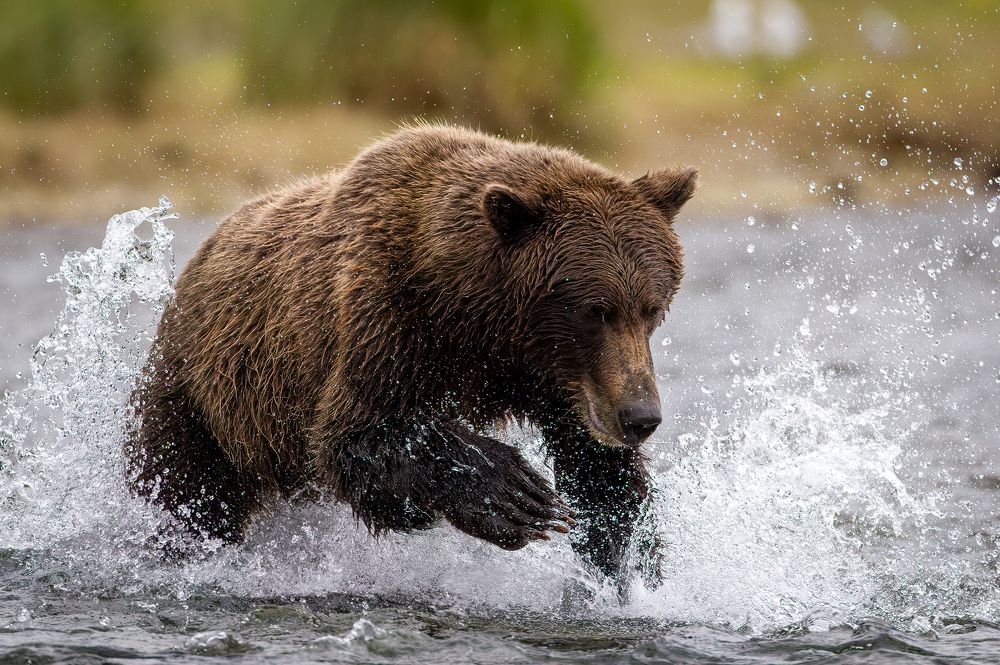 Photograph by Kelvin Blake