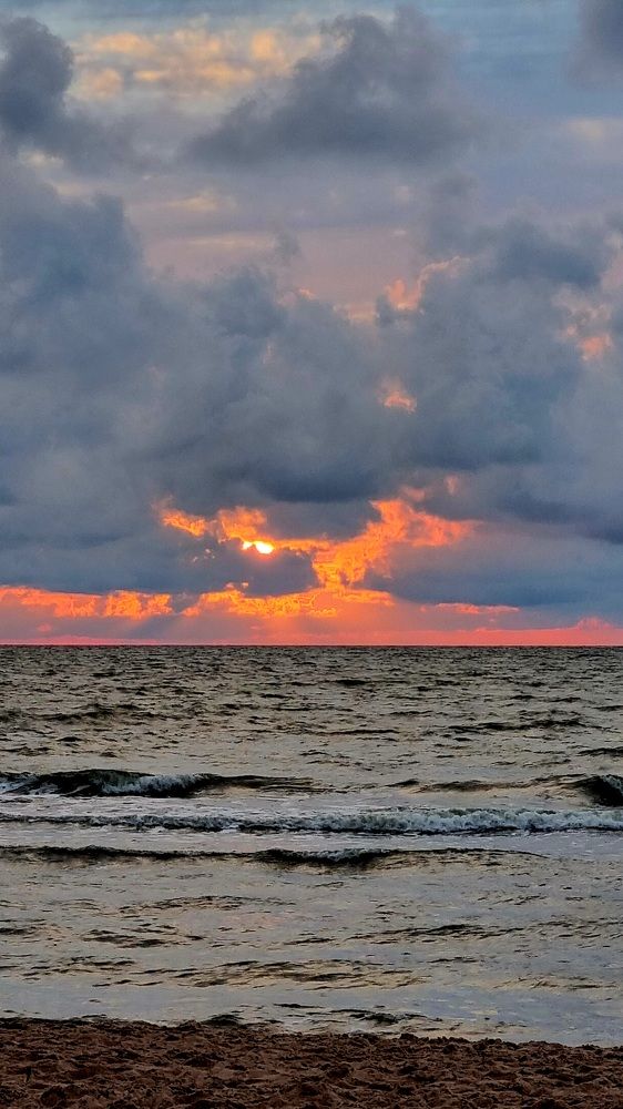 Photograph by Elena Tamošauskaite