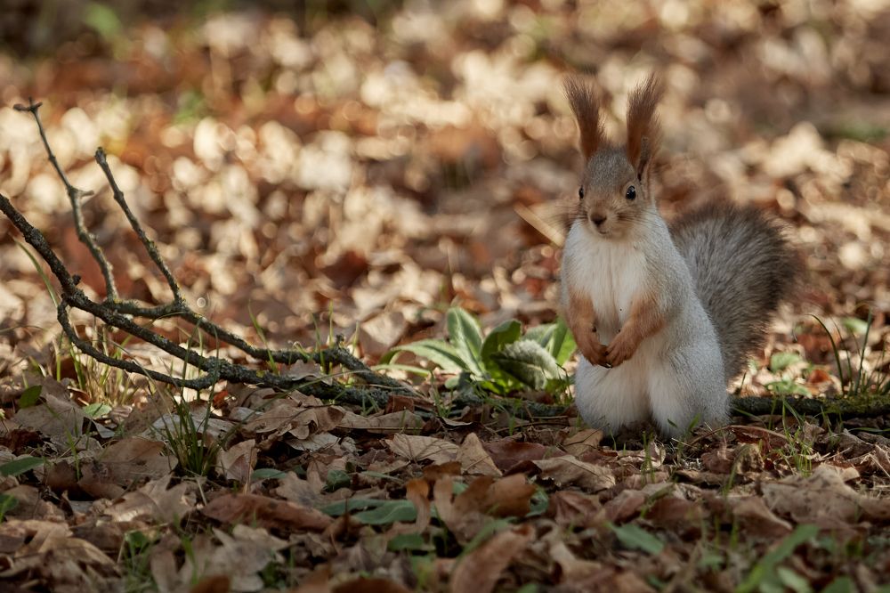 Photograph by Николай Ткач