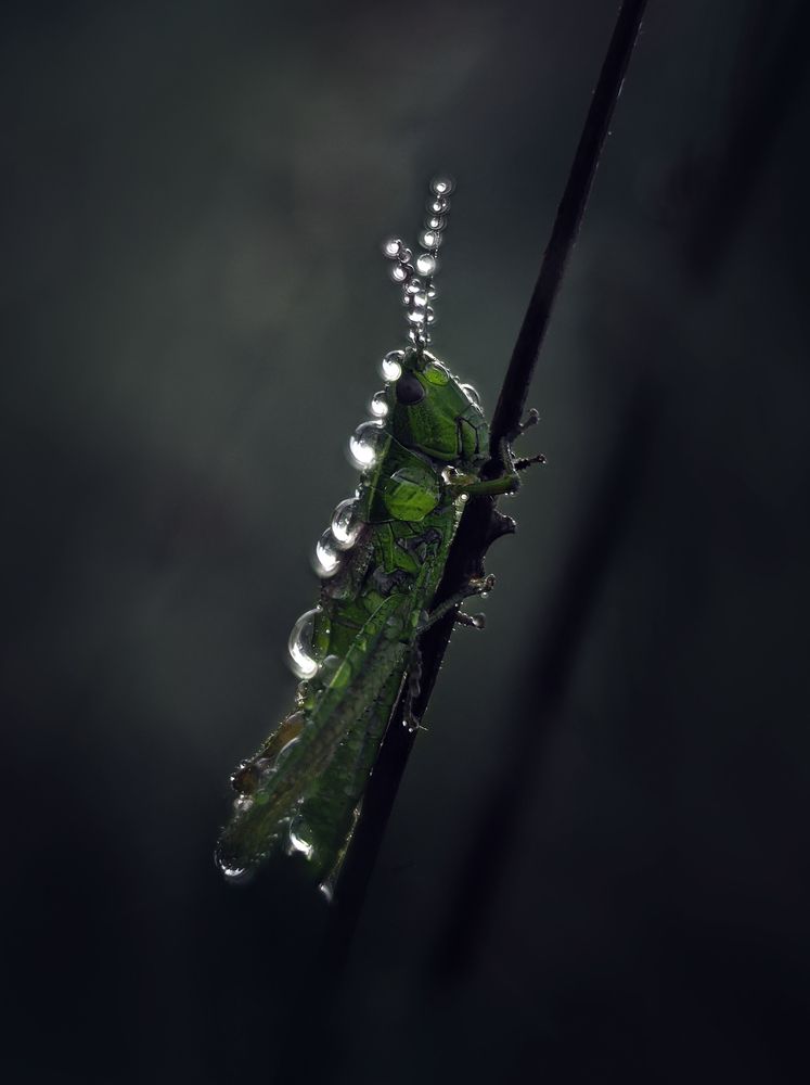 Photograph by Баранов Олег