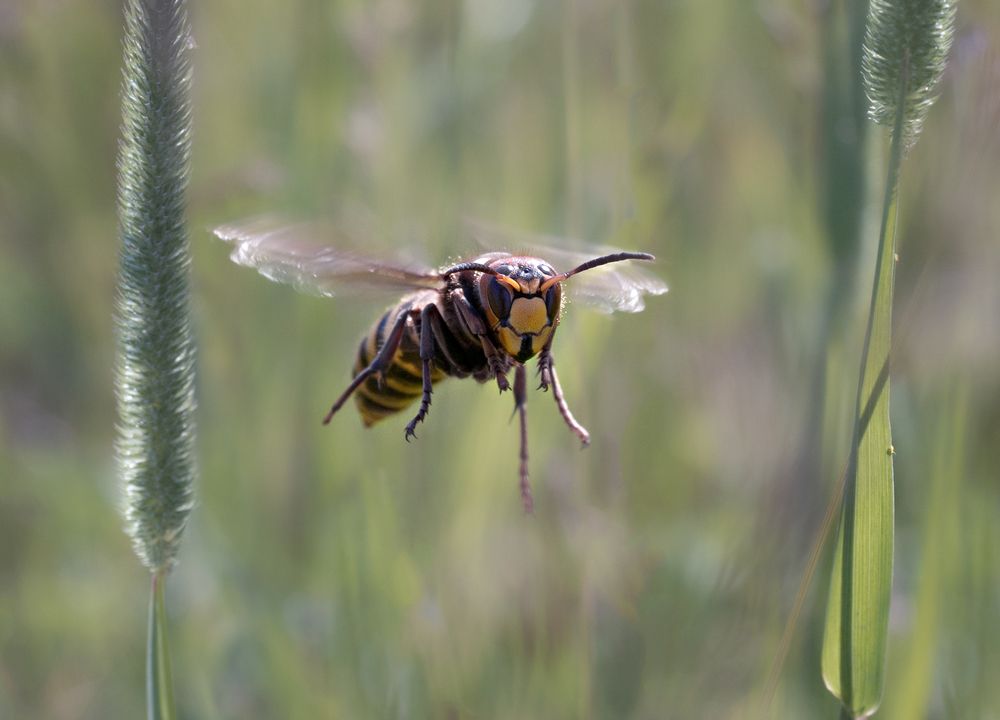 Photograph by Баранов Олег