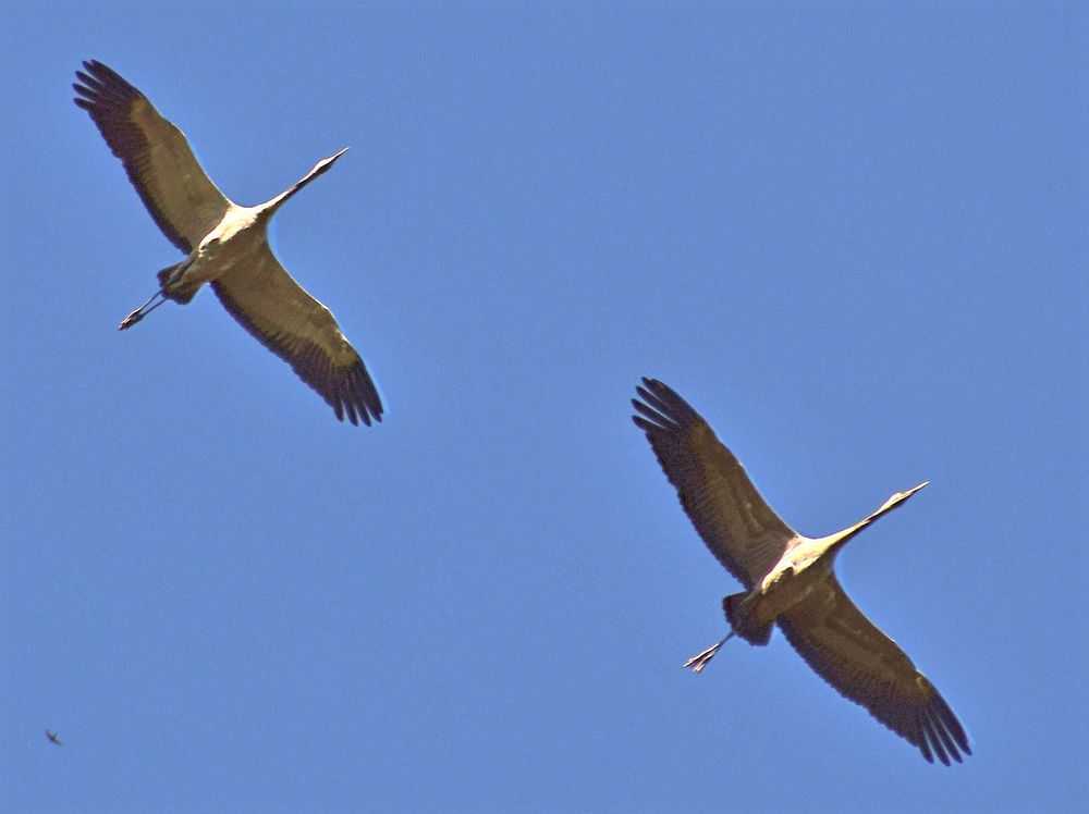 Photograph by Александр Шувалов