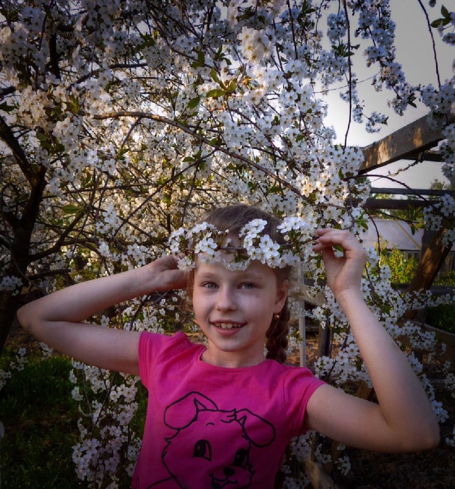 Вишневый венок