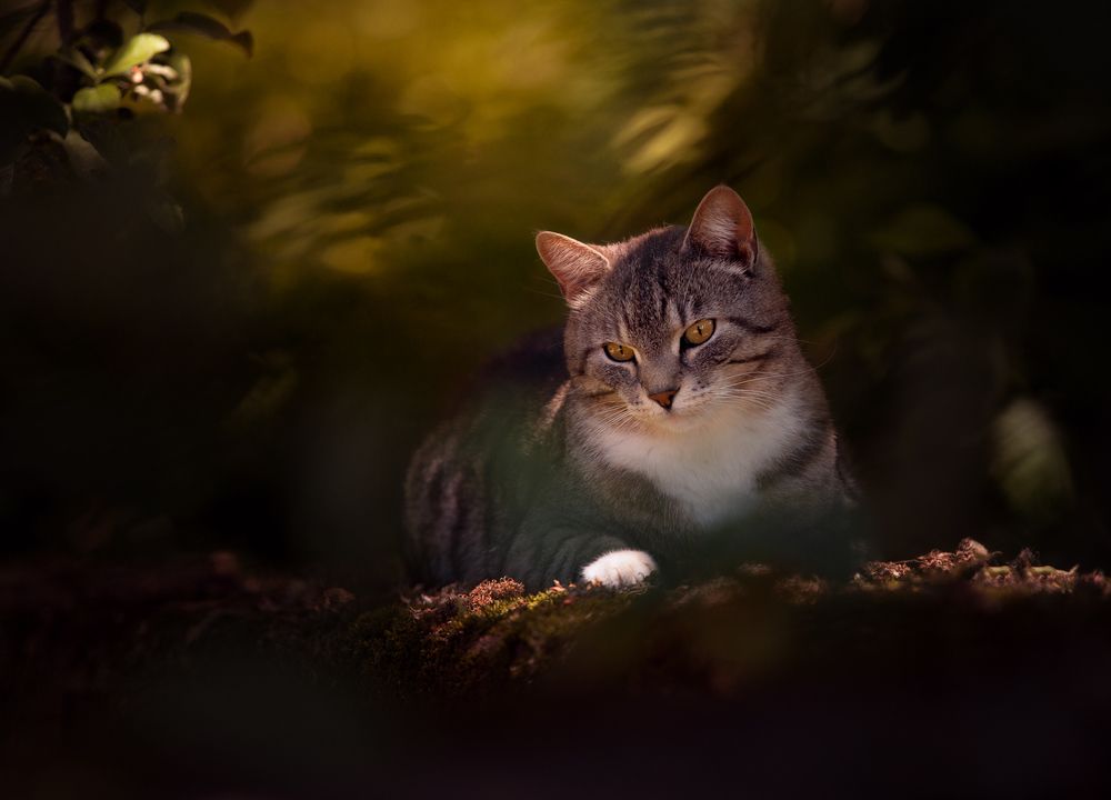 Photograph by Баранов Олег