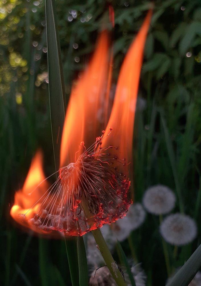 Photograph by Кристина Присяжная