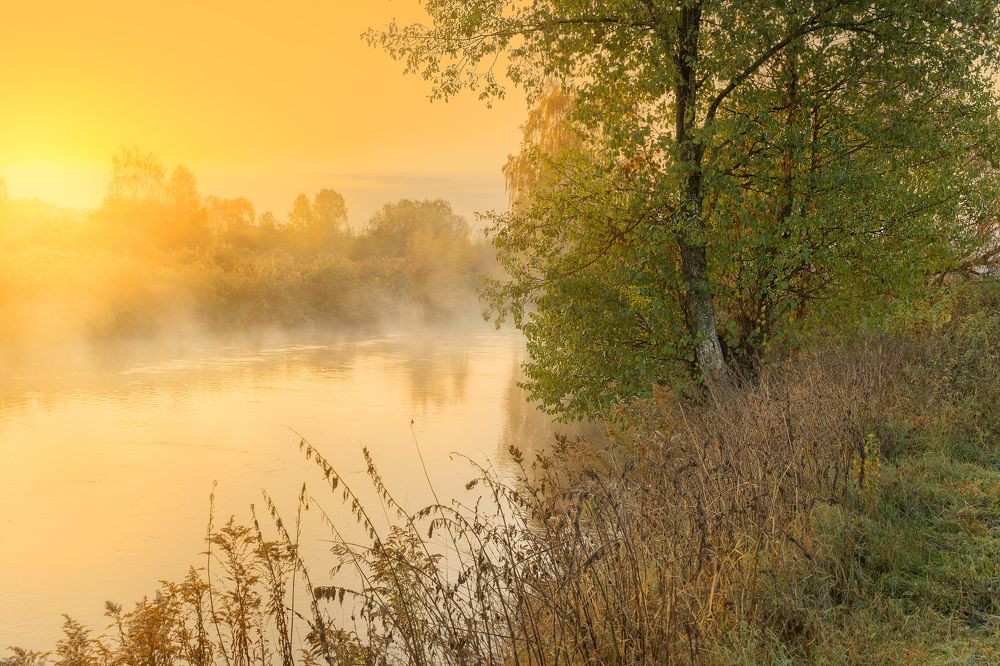 Photograph by Роман Филиповец