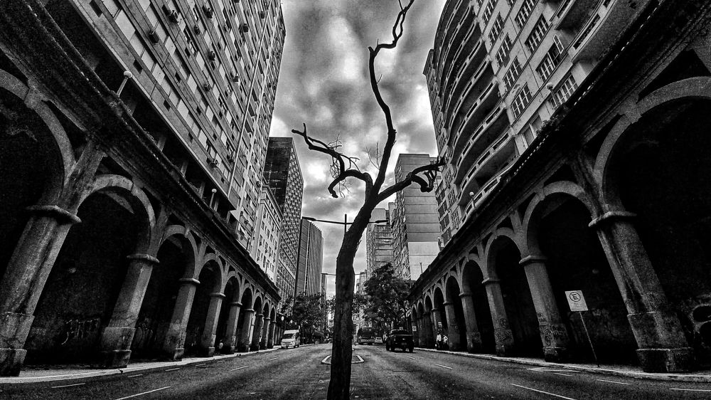 Photograph by Andréia Oliveira