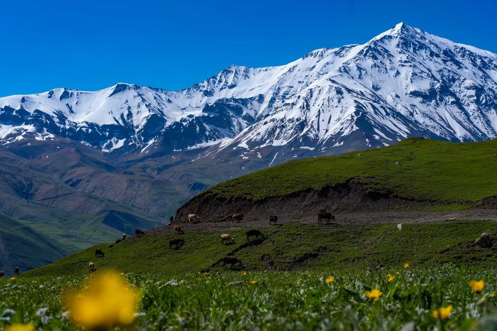 Photograph by Роман Светлов