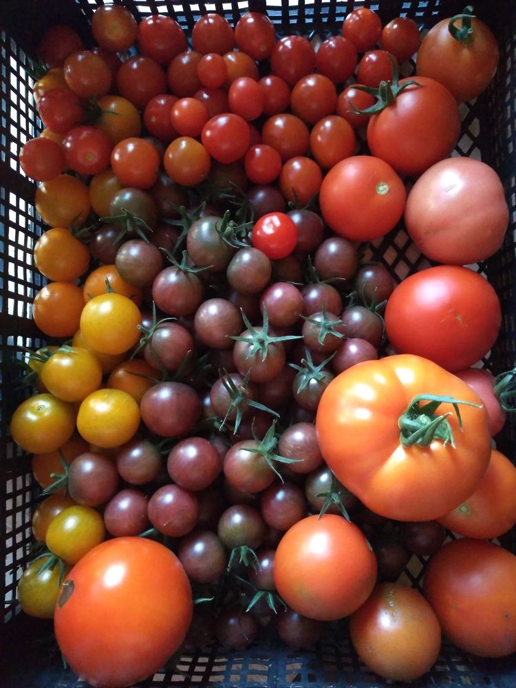 Photograph by СТЕПАН ДЖУЛАКИДЗЕ