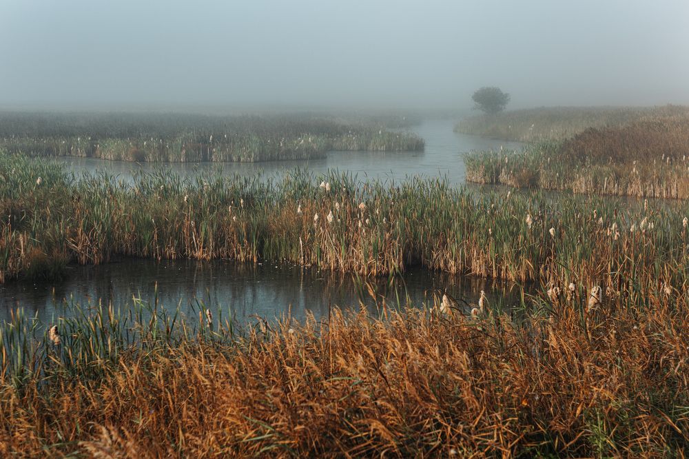 Photograph by Кирилл Трушин