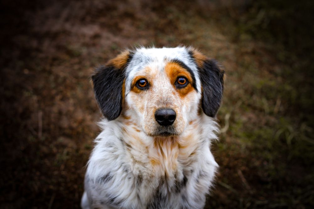 Photograph by Сергей Бутусов