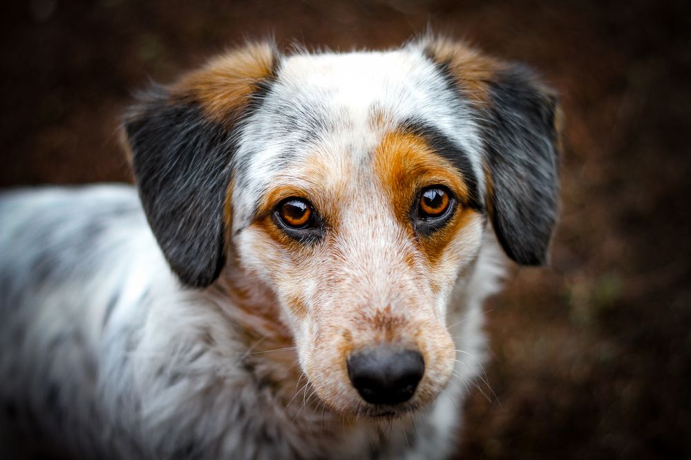 Photograph by Сергей Бутусов