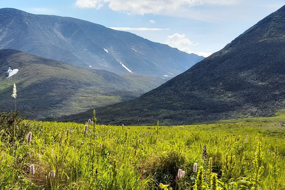 Photograph by Ольга Березовская