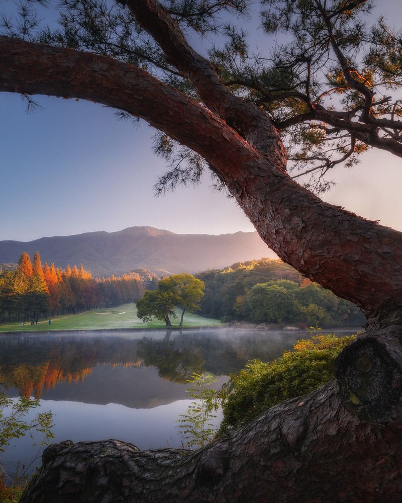 Фотография автора NGUYEN NGOC SON