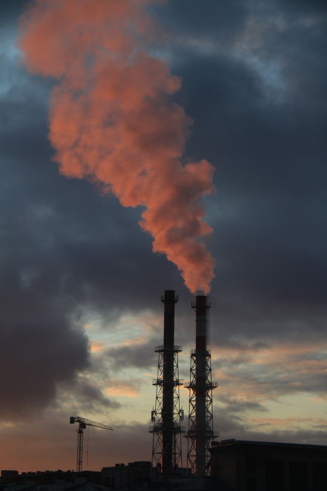 Фотография автора Анастасия Зверева