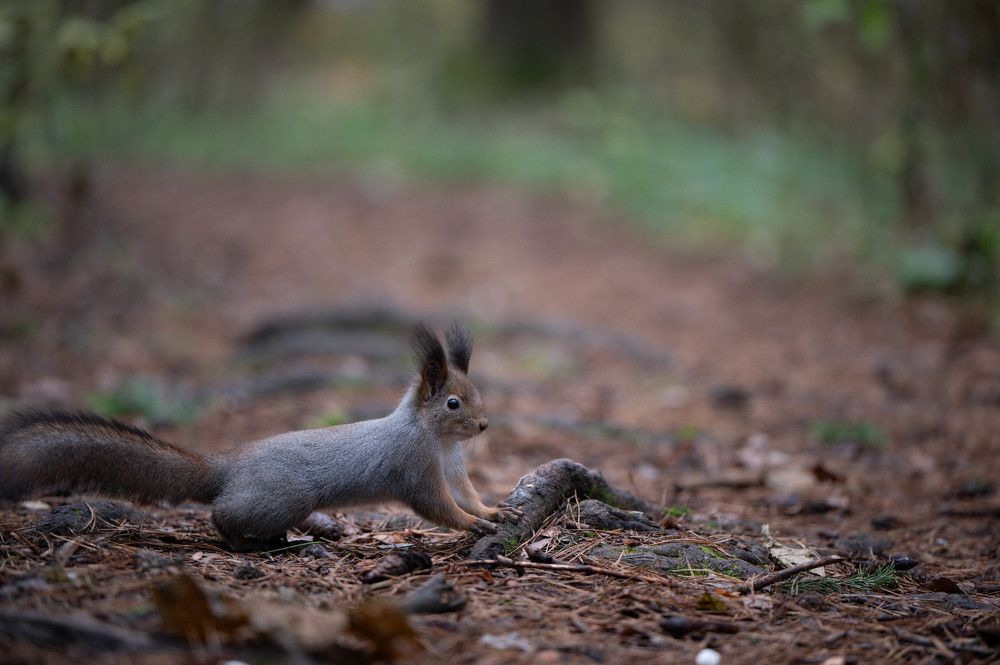 Photograph by Анастасия Жучкова