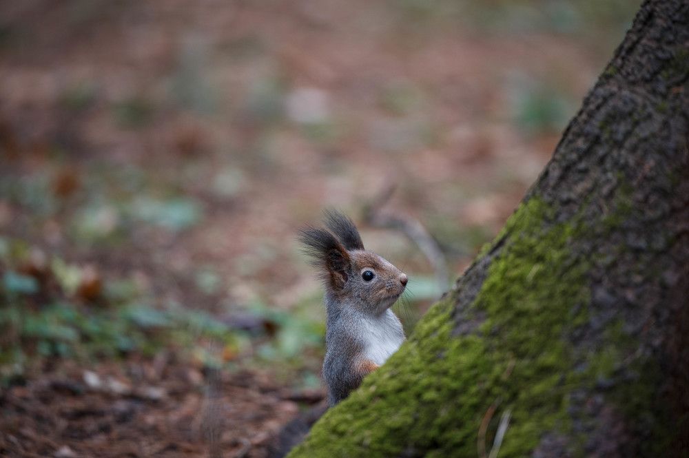 Photograph by Анастасия Жучкова