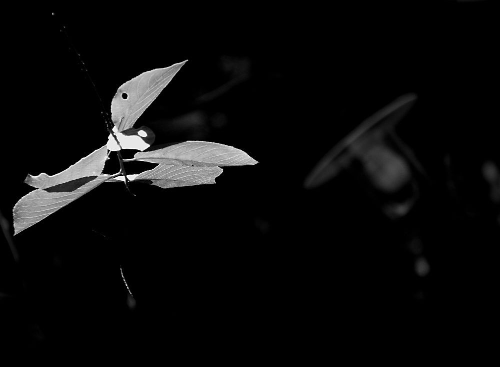 Photograph by Milan Slama