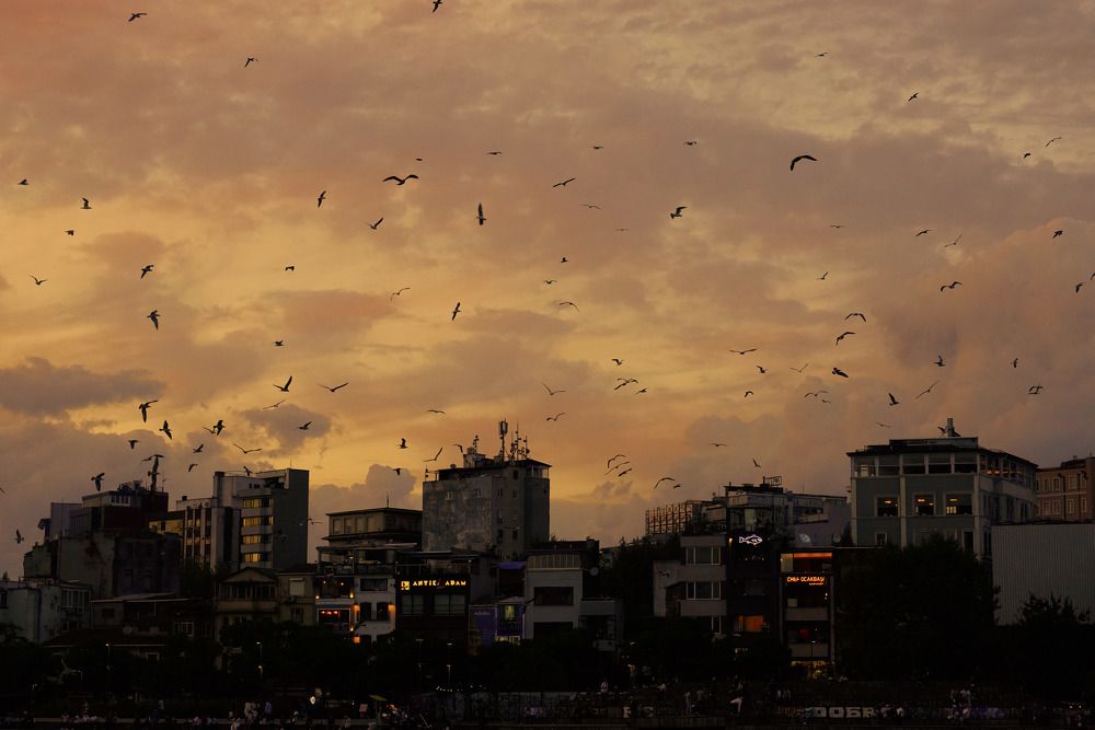 Photograph by 